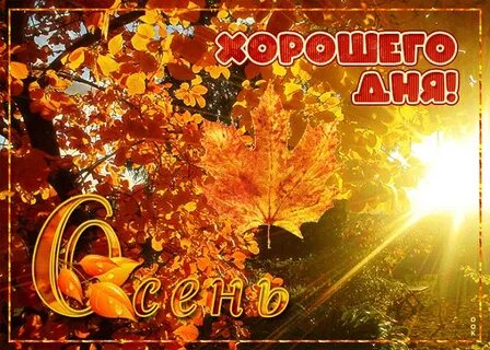 День осеннего