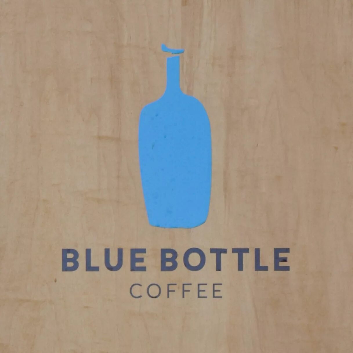 Bluebottle. Блю ботл медуза. Голубая бутылочка медуза. Blue Bottle Coffee о компании. Текст песни синяя бутылочка