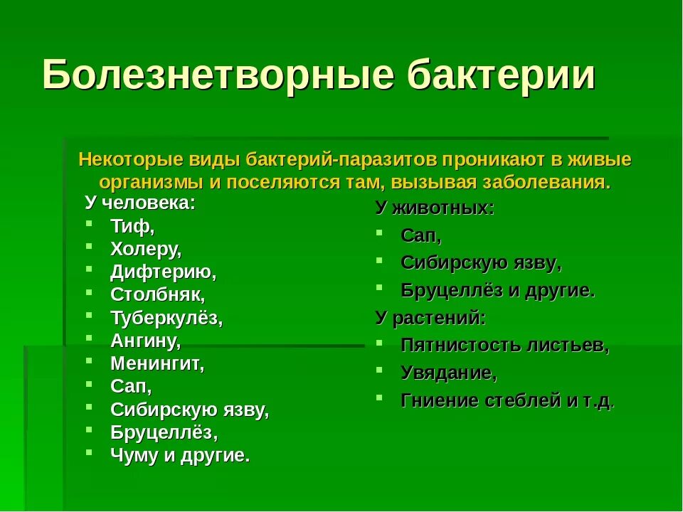 Роль болезнетворных бактерий. Болезнетворные бактерии. Болезнетворные бактерии примеры. Патогенные бактерии. Болезнетворные бактерии вызывают заболевания.