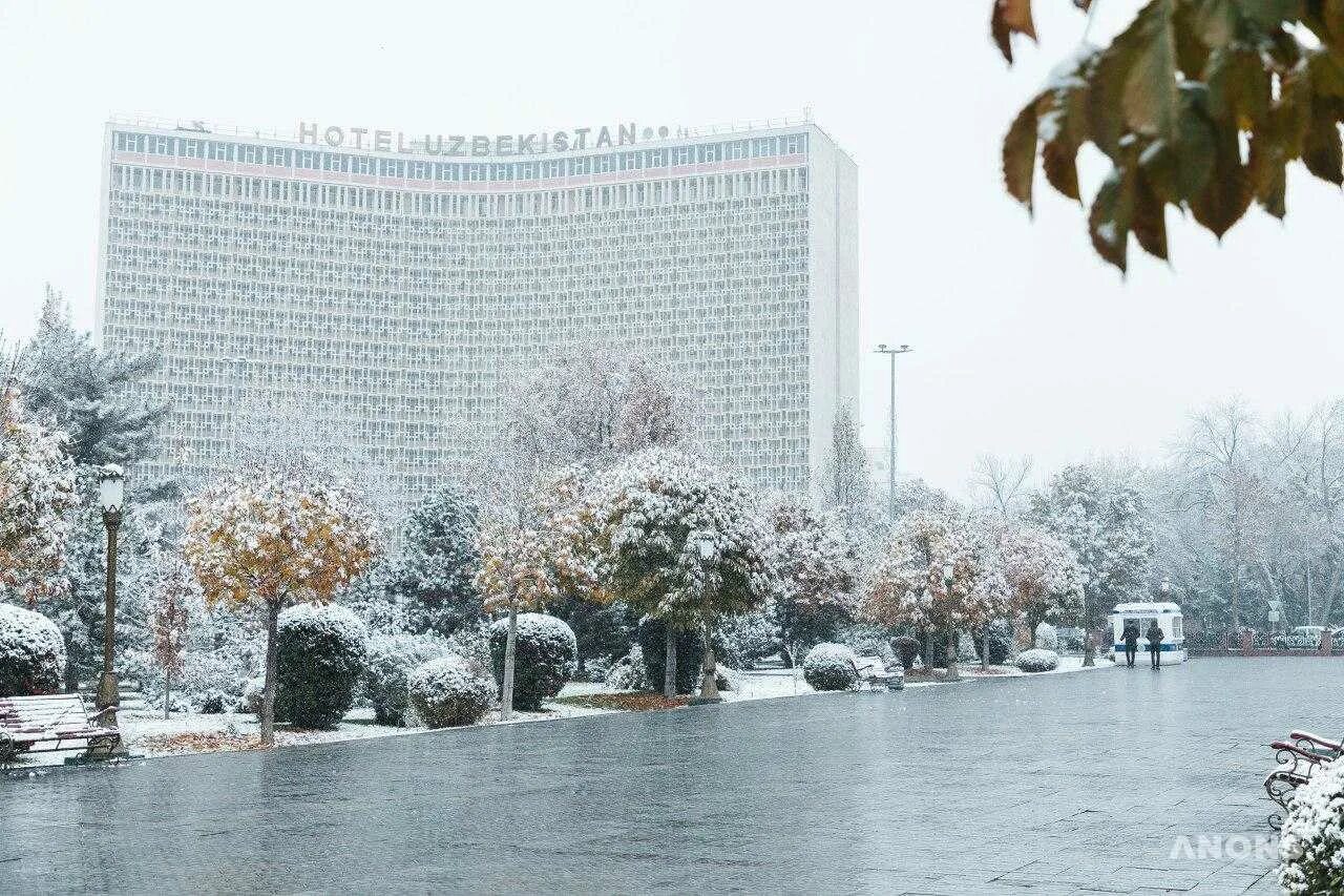 Ташкент январь. Ташкент зимой. Зима в Ташкенте. Tashkente sneg снег в Ташкенте. Первый снег в Ташкенте.