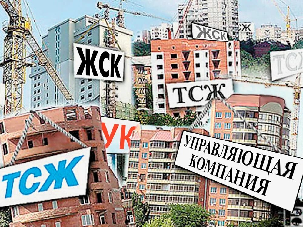 В настоящее время управляющие компании. Управляющие компании жкх. управляющие компании картинки. управляющаяя компания. тсж жкх.