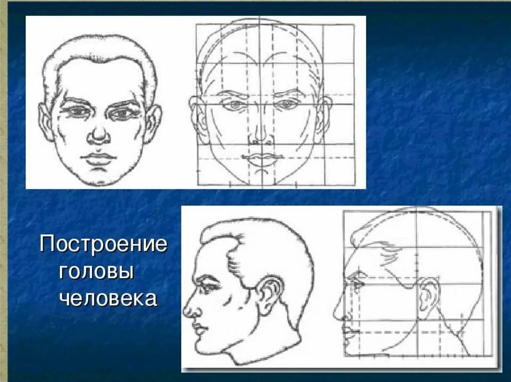 Изображение человека по свету и против света. Графический портретный рисунок и выразительность образа человека. Изображение головы человека. Построение человеческой головы. Изображение головы в пространстве.