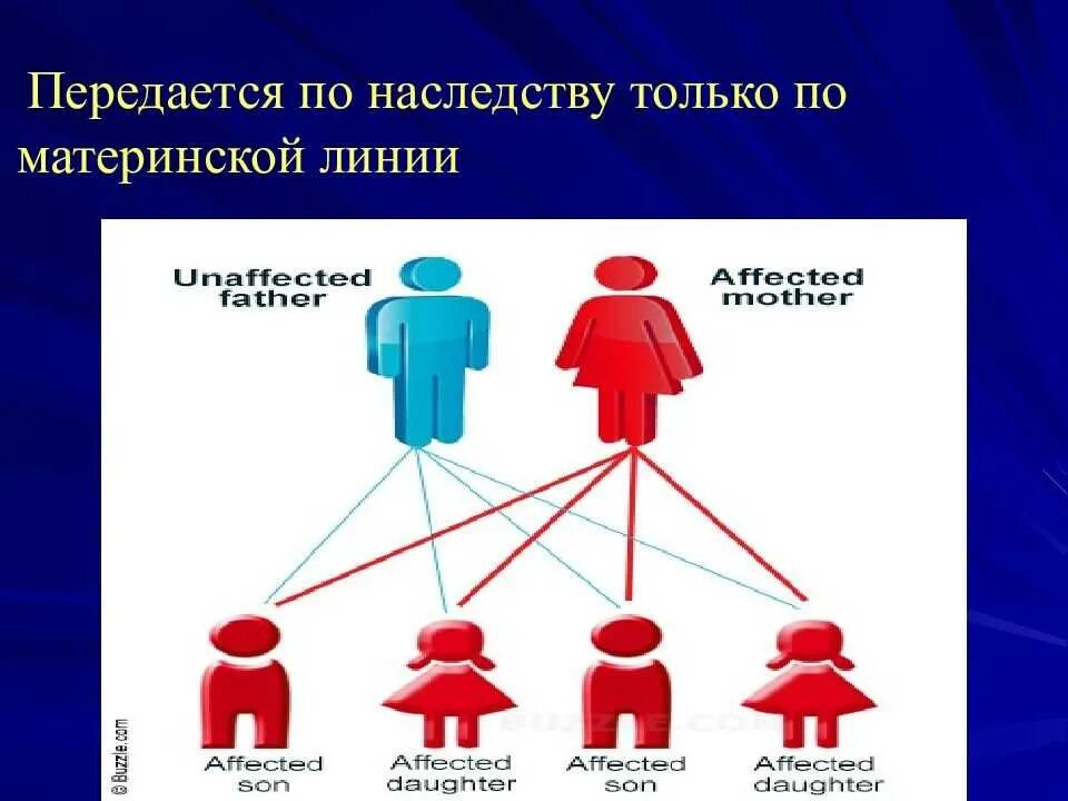 Наследство передается поколение. Что передается по наследству. Шизофрения может передаваться по наследству. Рау передаётся по наследству?. Наследование по материнской линии.