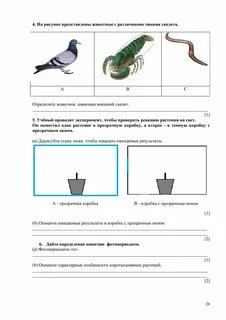 Соч по биологии