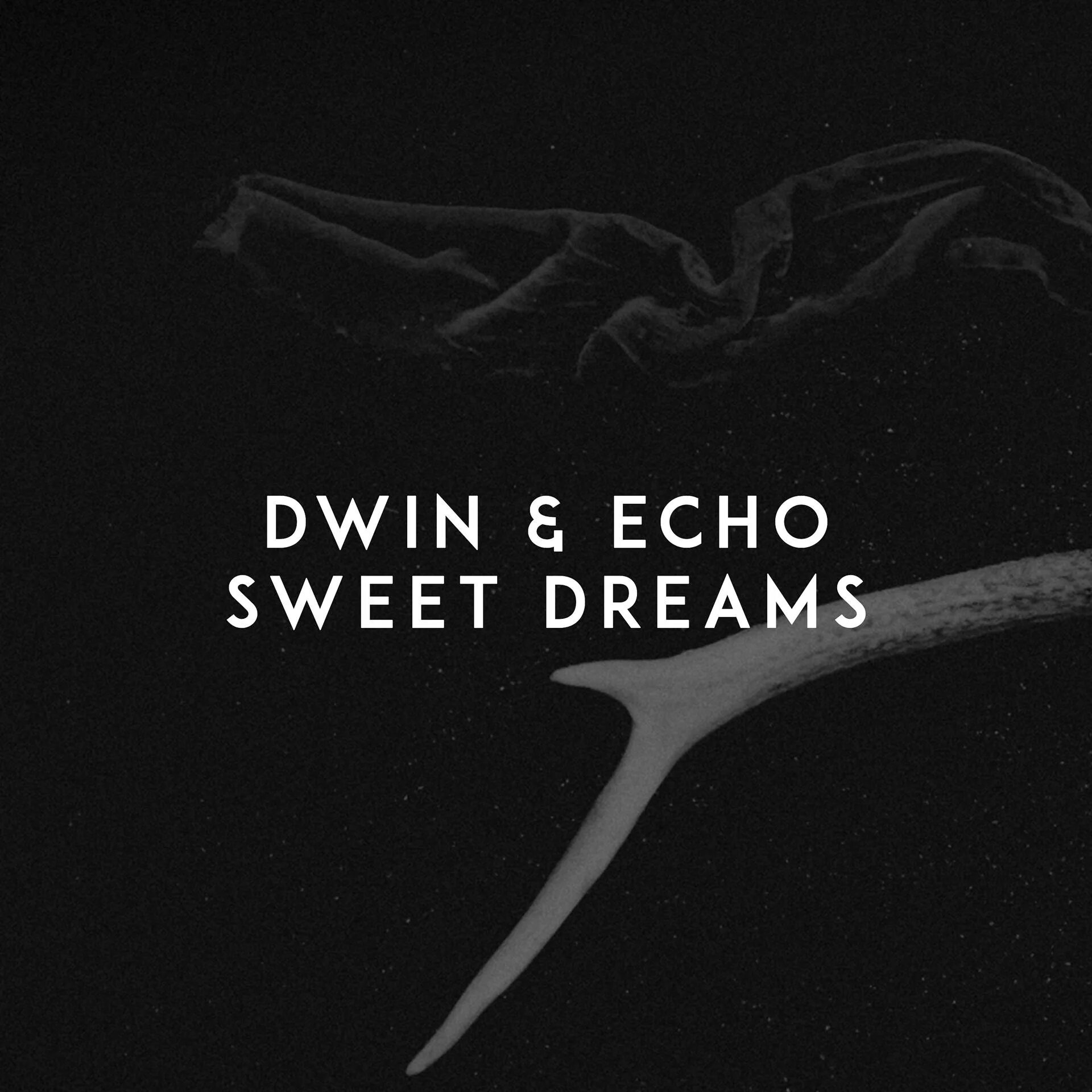 Свит дримс ремикс. Sweet Dreams Dwin Echo. Sweet Dreams(Dwin & Echo Remake) -. Sweet Dreams Remix. Sweet Dreams Dwin Echo Remix.