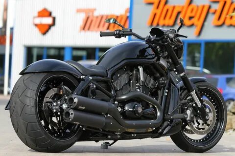 Harley v rod