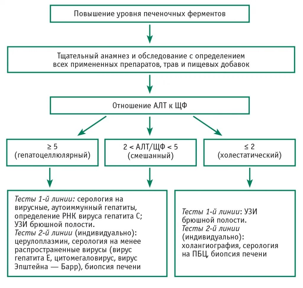 Ведение амбулаторных больных. Тактика ведения больного с гепатитом с. Тактика амбулаторного ведения хронического гепатита. Тактика ведения больных с вирусным гепатитом а. Алгоритм ведения пациента с аутоиммунным гепатитом.