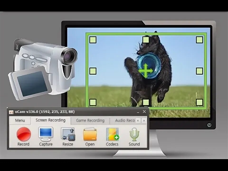 Видео программа ocam. Ocam v382.0. ohsoft blog.
