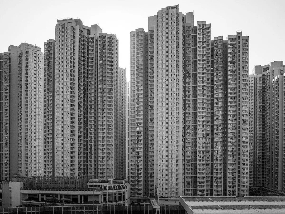 Панельные джунгли москва. Московские джунгли. Ясенево. Каменные джунгли человейники. Московские джунгли.