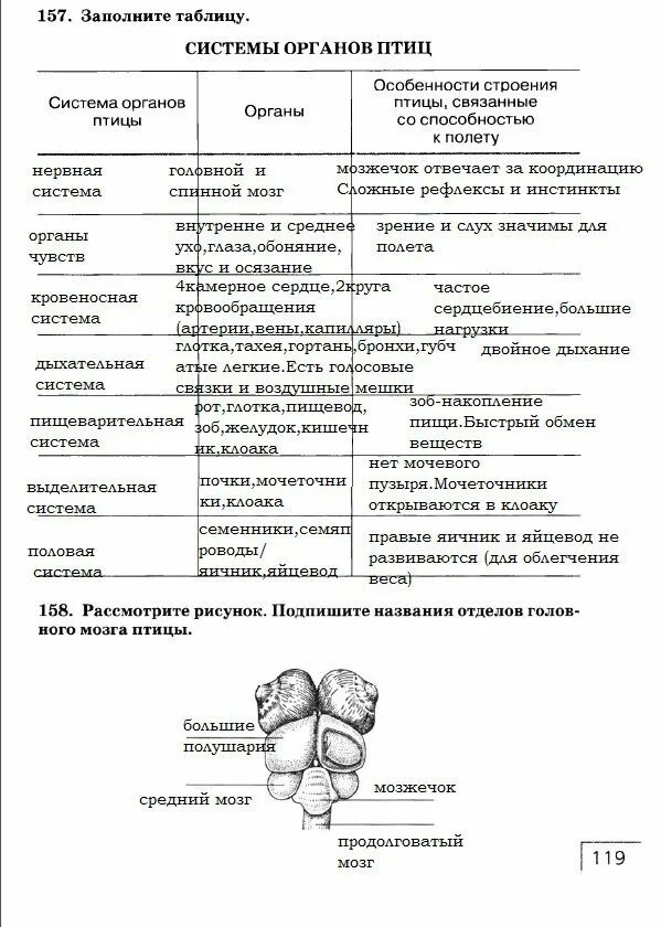 Функции птиц таблица. Системы внутренних органов птиц таблица. таблица по биологии 7 класс внутреннее строение птиц система органов. системы органов птиц таблица 7 класс биология. система органов птиц таблица.