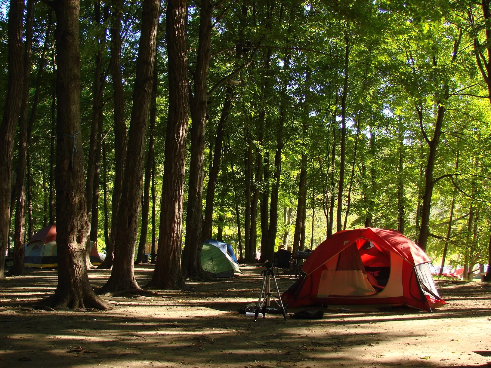 Палатка в лесу. Кемпинг. Кемпинг в лесу. Кемпинг в Подмосковье. Кемпинг лесная