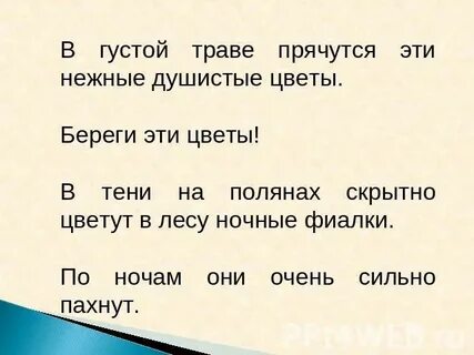 Пахуч дремуч