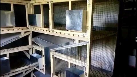 Кролики клетка видео