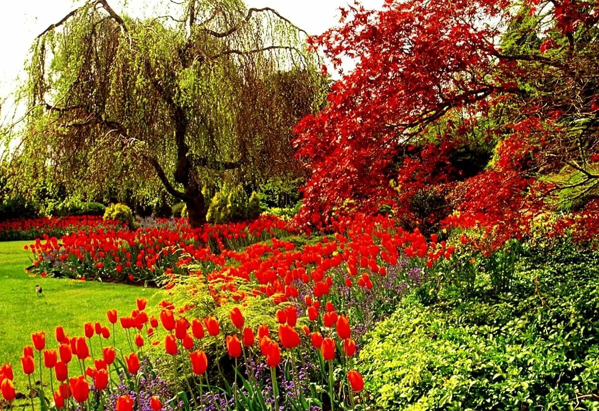 Красота ботанического сада. Красота ботанического сада. Монреальский ботанический сад (канада) сад наций. Аляскинский ботанический сад. Сингапур ботанический сад.