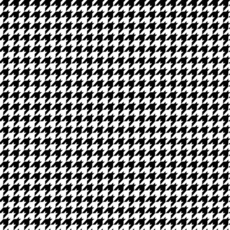 черно-белый цветок. эйфель башня монохром. Black and white. черно белое. черно белый снимок.