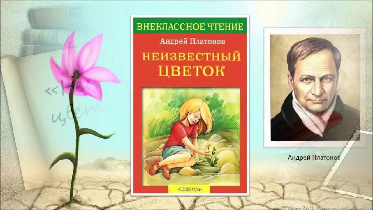 Произведение Андрея Платоновича Платонова неизвестный цветок. Платонов а. "неизвестный цветок". Быль Андрея Платонова неизвестный цветок. У этого произведения неизвестный автор оно