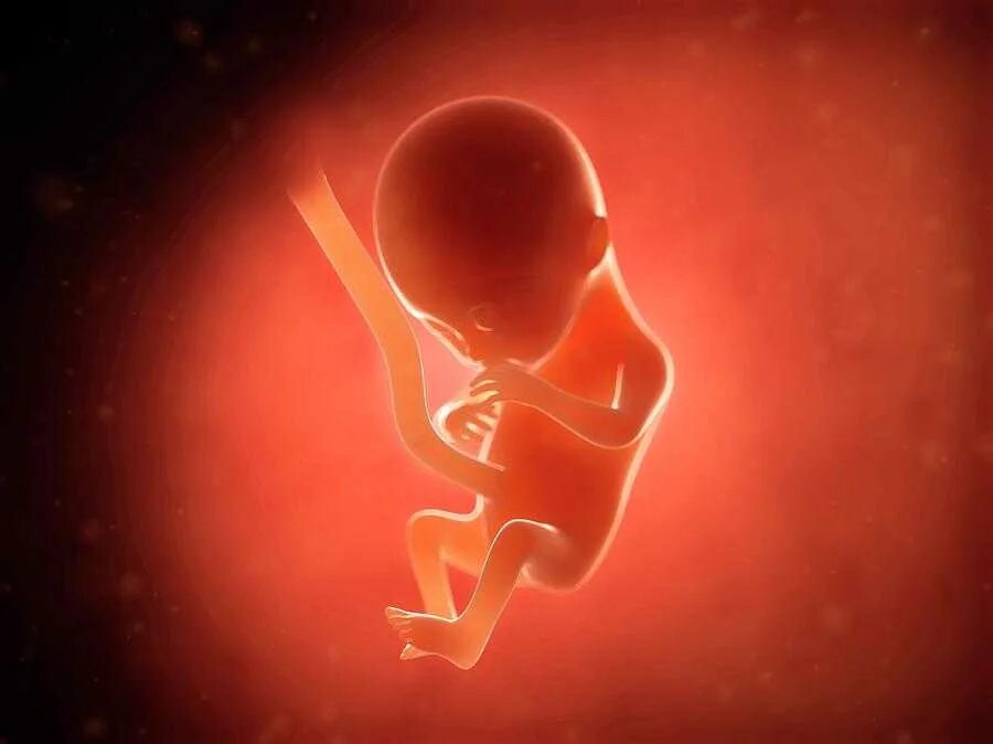 4 мес беременности живот. живот на четвертом месяце беременности. живот на 4 месяце беременности. живот на 4 месяце беременности. живот беременной на 4 месяце.