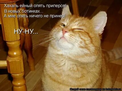 Ты опять ничего не делаешь