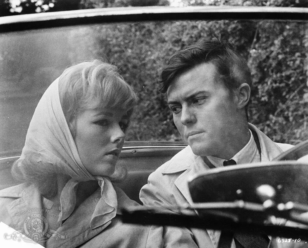 безумие 1963. уильям кэмпбелл и мэри мартин кэмпбелл. безумие 1963. безумие 1963. луана андерс.