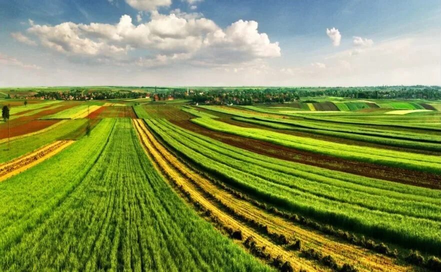 Сх оборота. Сельскохозяйственные земли. Сельскохозяйственный ландшафт. Земли сельскохозяйственного назначения. Земля в сельском хозяйстве.
