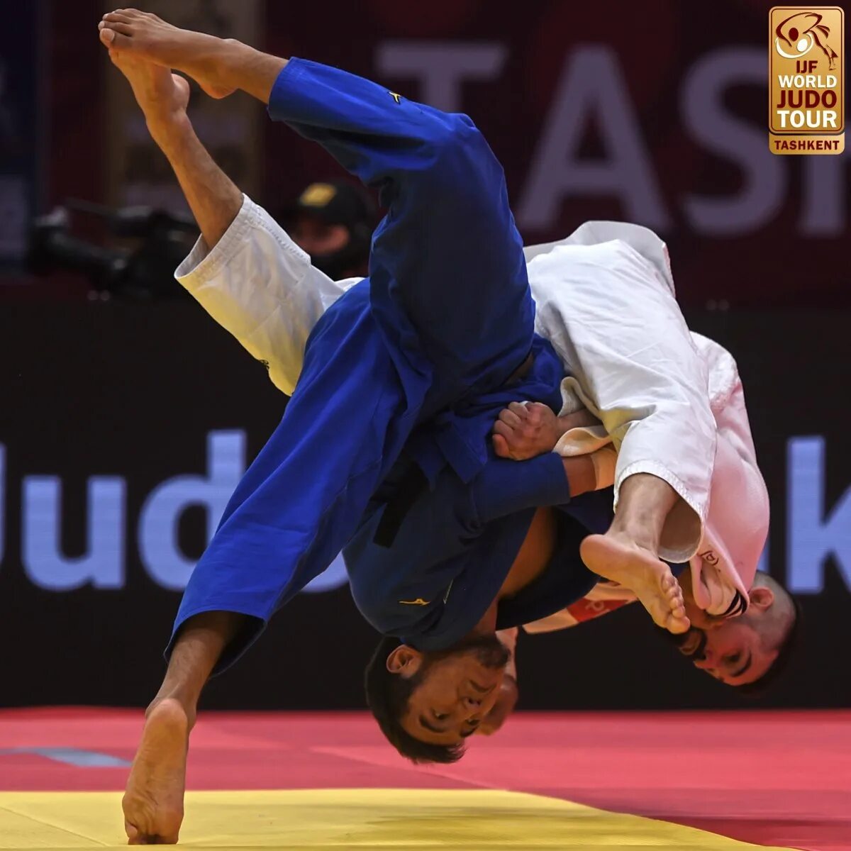 Плиев султан дзюдоист. 4 кю красный пояс айкидо. Степень в дзюдо 4 буквы. Самойлович сергей дзюдо. Пояса дзюдо по порядку цвета.