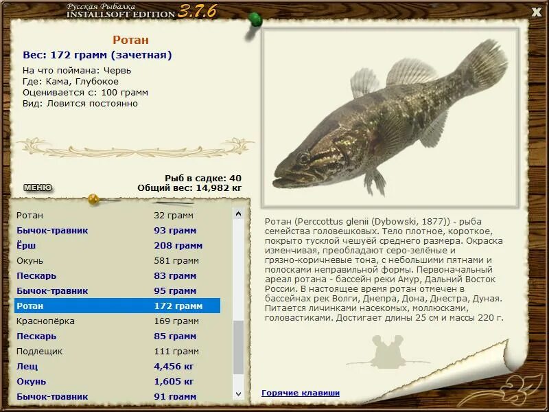 Русская рыбалка игра installsoft. Русская рыбалка 3.6 Деревенские просторы карась серебряный. Русская рыбалка 3 Инсталлсофт. Ротан русская рыбалка. Русская рыбалка окунь Кама.