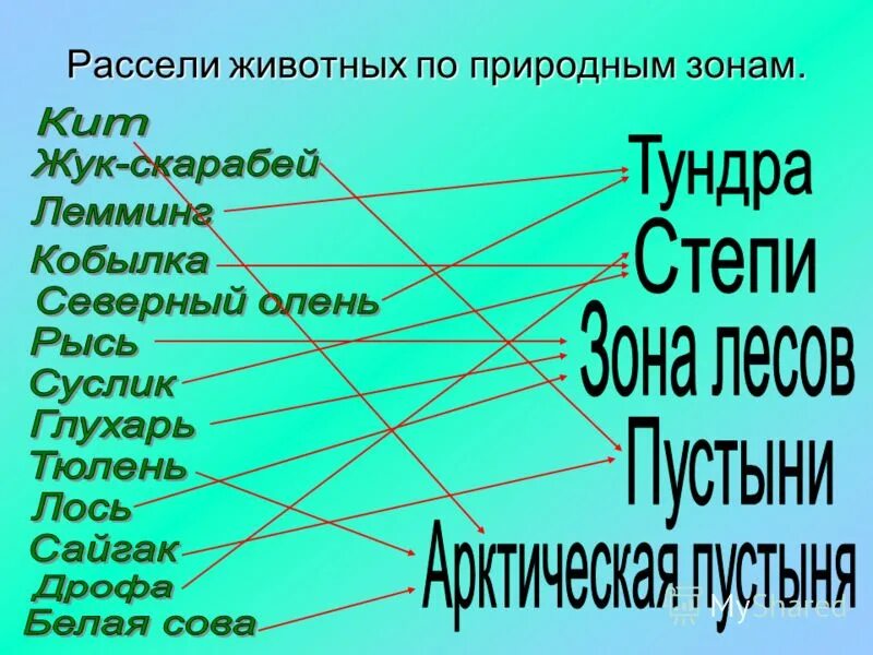 Рассели животных по природным зонам. Рассели животных по природным зонам соединив. Рассели животных по природным зонам 6 класс. Расселите растения по природным зонам.