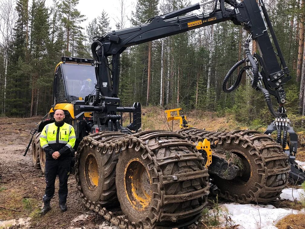 Шуялес. Шестиозерье лес. Ковжинский леспромхоз. Ладвинское сельское поселение. Красноярский леспромхоз.