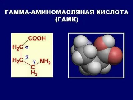 Гамма аминомасляная