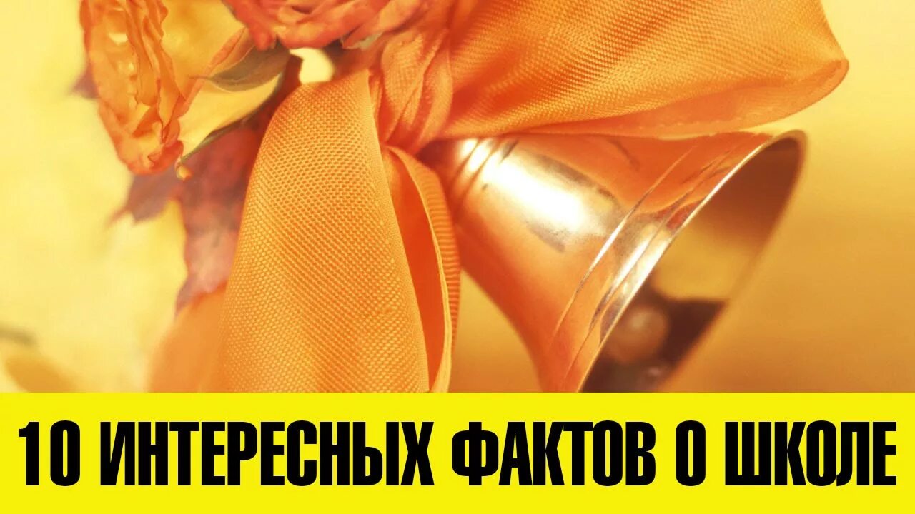 10 фактов о школах. Интересные факты о америки в школу. Интересные факты о великобритании. Любопытные факты о школе. 10 фактов о школах.
