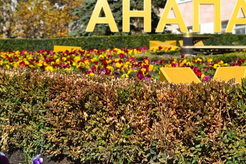 Анапа осенью 54 фото Ast-Ohota.ru