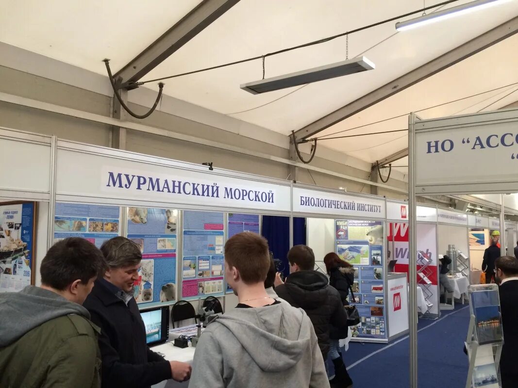 Мурманский биологический институт. Мурманский биологический институт. Мурманский биологический институт. Мурманский морской биологический институт лого. Мурманский морской биологический институт заброшенный.