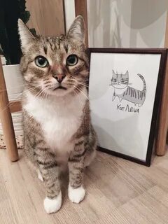 Кот леха