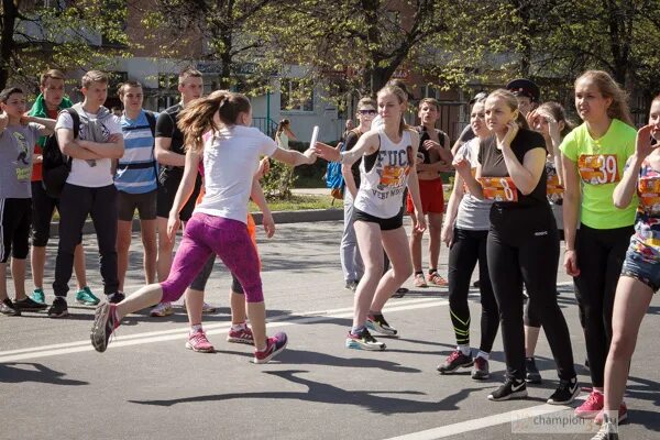 владимирский полумарафон золотые ворота. эстафета ко дню победы. спортивные мероприятия. вести орел кросс нации. спорт во владимире.