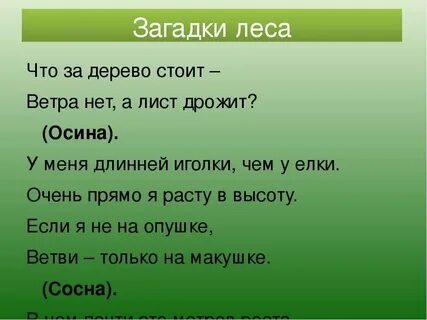 Детские загадки про лес