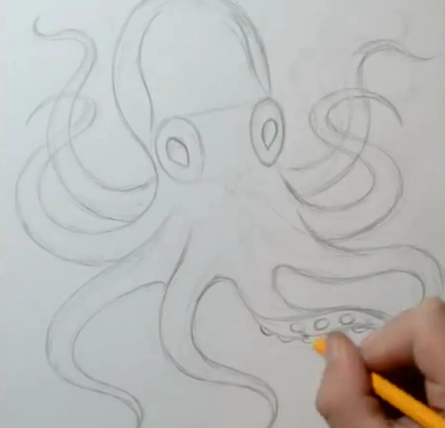 Осьминог карандашом. Осьминог рисунок карандашом. Рисование осьминога пошагово. Осьминог для рисования.