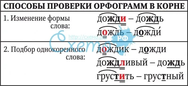 Выделить корень в слове дождь. Орфограммы в корне слова. Способы проверки орфограмм схемы. Орфограмма в слове. Дождь орфограмма в слове.