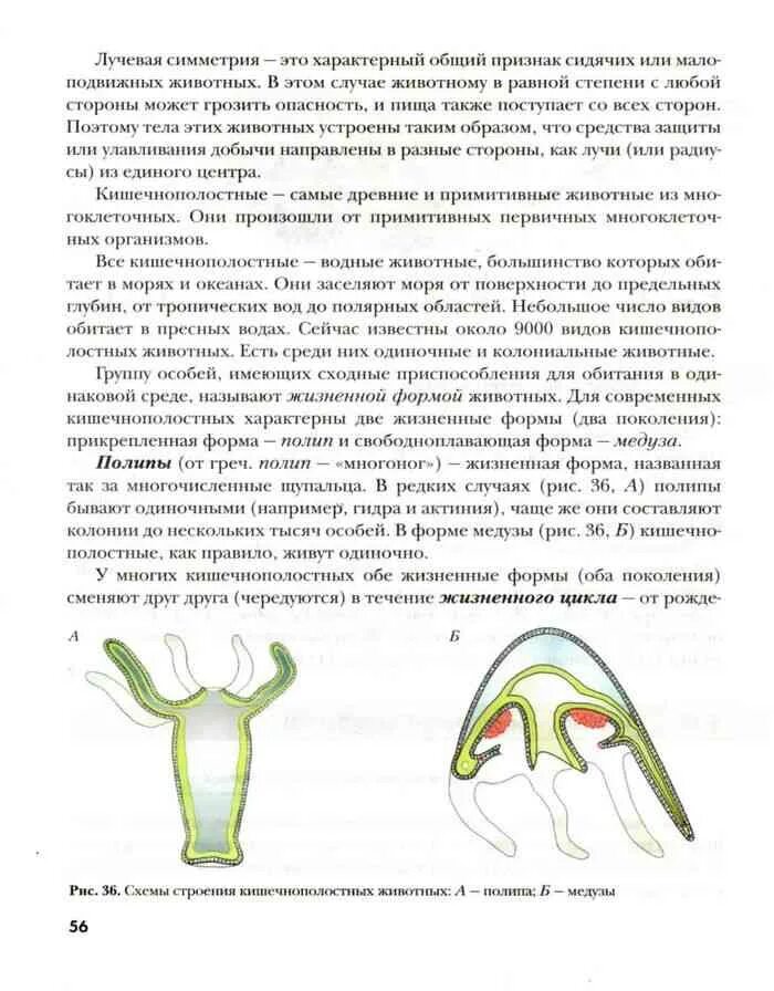 Биология 7 класс учебник Константинов. Учебник по биологии 7 класс. Конспект по биологии 7 класс Константинов. Биология 7 класс учебник все темы.