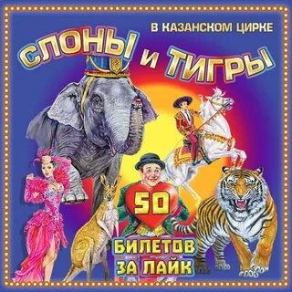 Цирк слоны и тигры отзывы
