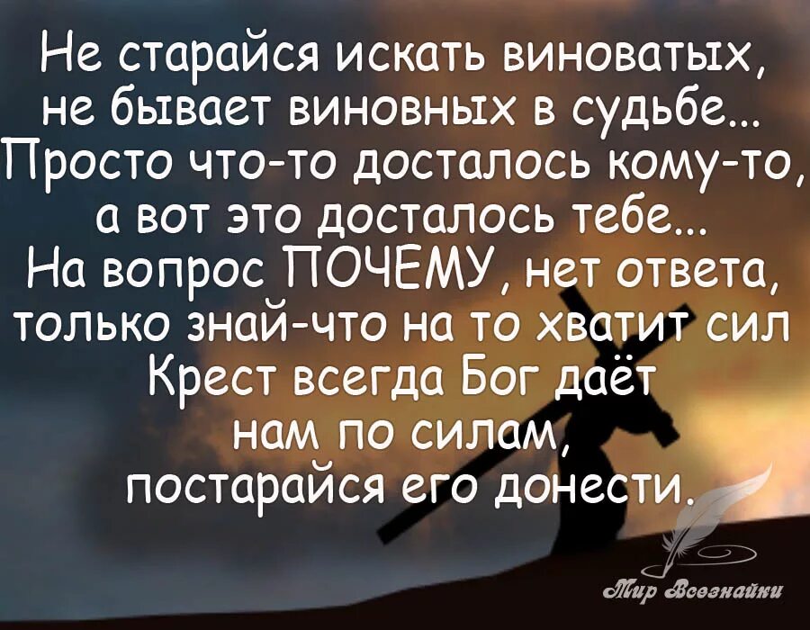 Умные цитаты. Высказывания о судьбе. Фразы про судьбу. Цитаты про судьбу. Не с кого спрашивать когда сам виноват