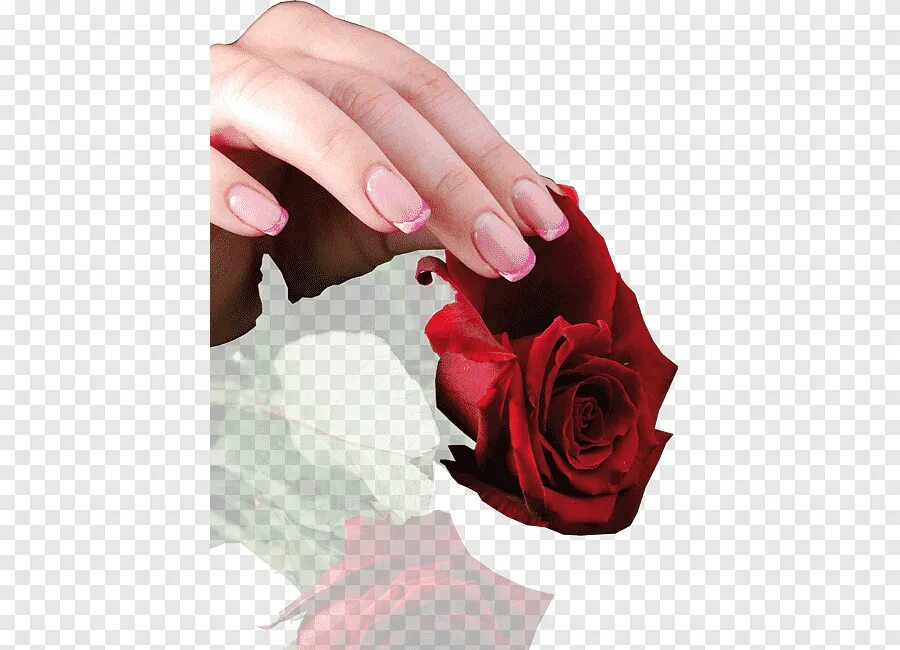 Rose finger