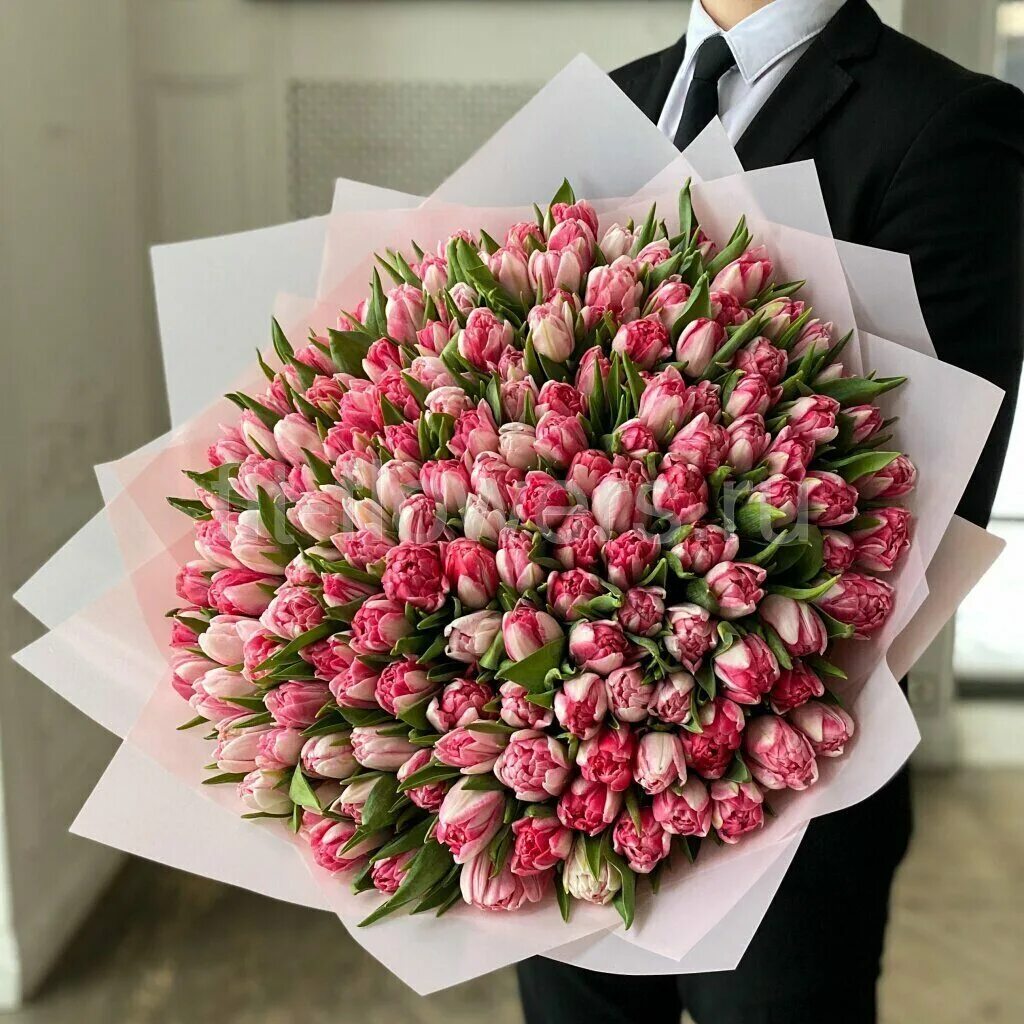 голландские тюльпаны buket. букет тюльпанов спб. огромный букет тюльпанов. монобукет - тюльпаны. букет тюльпанов пионовидных 15 штук.