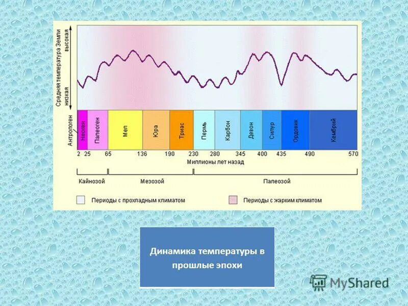 Климат периодов. Динамика температуры. Виды динамики температуры. Климатический Возраст. Динамика температуры при Ковиде.