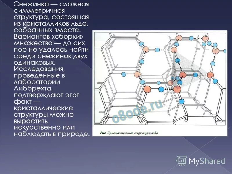 Сколько собрал лед