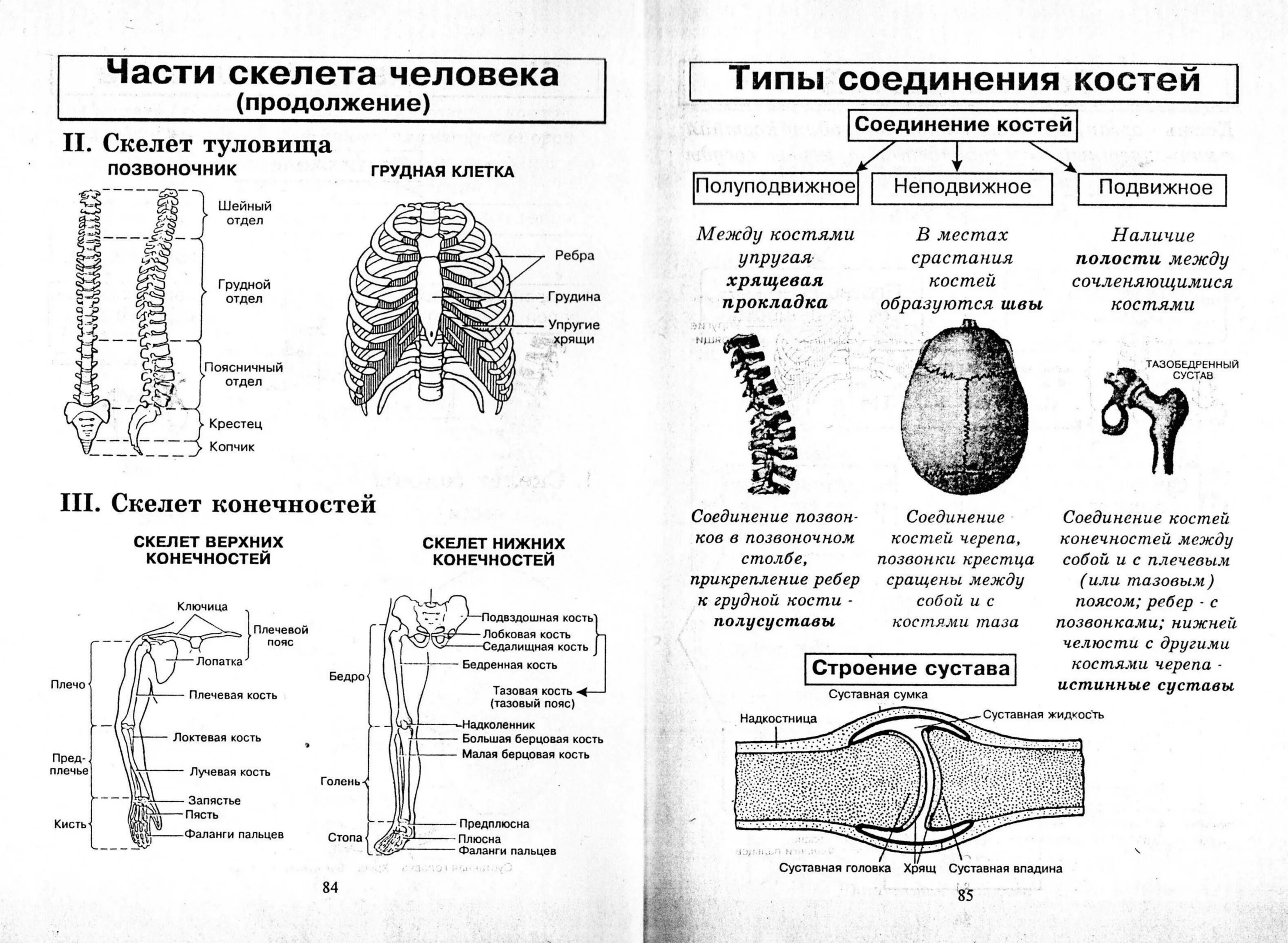 Биология человека егэ