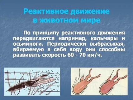 Принцип реактивного
