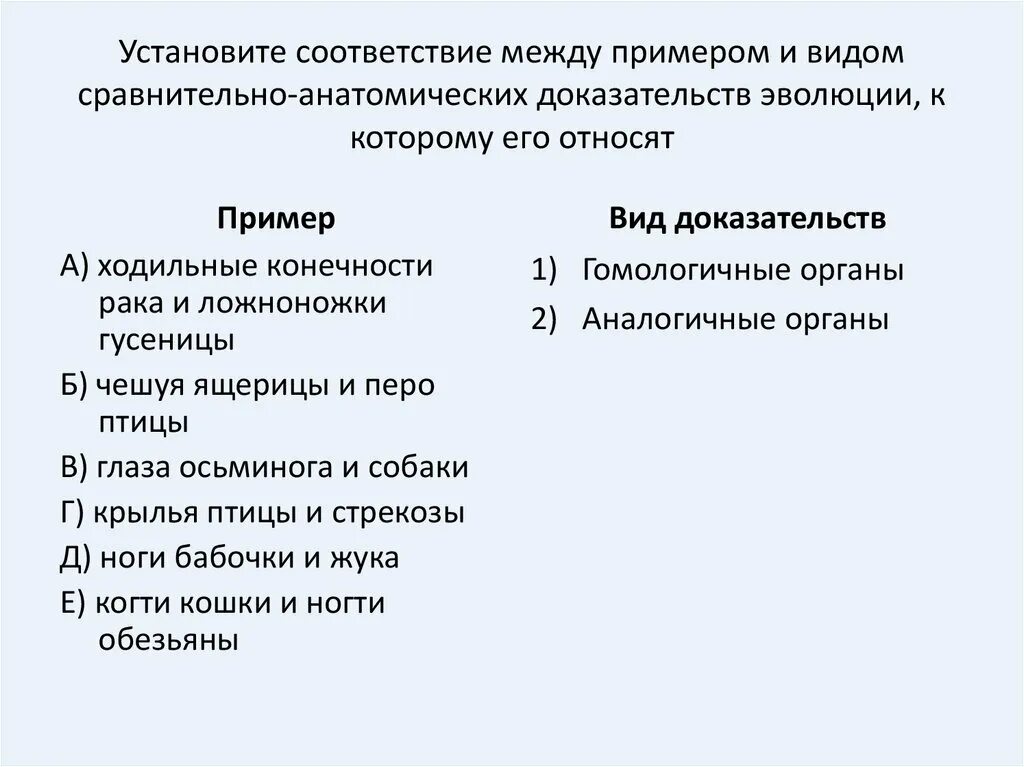 Установите соответствие между примерами и ср. Установите соответствие между примерами и доказательствами эволюции. Установите соответствие между примерами видов которые его относят. Установите соответствие между доказательством эволюции и его видом. Установите соответствие примеры плата за аренду