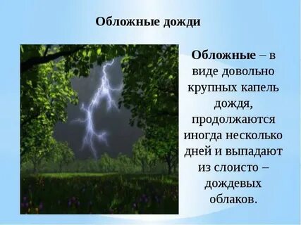 Значение слова дождевой