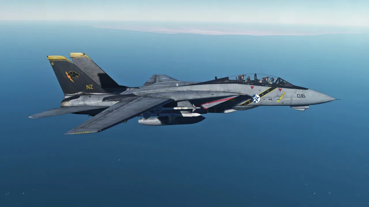 F-14 Eris Ace Combat. F-14 Wardog Squadron. Wardog 2 Ace Combat.