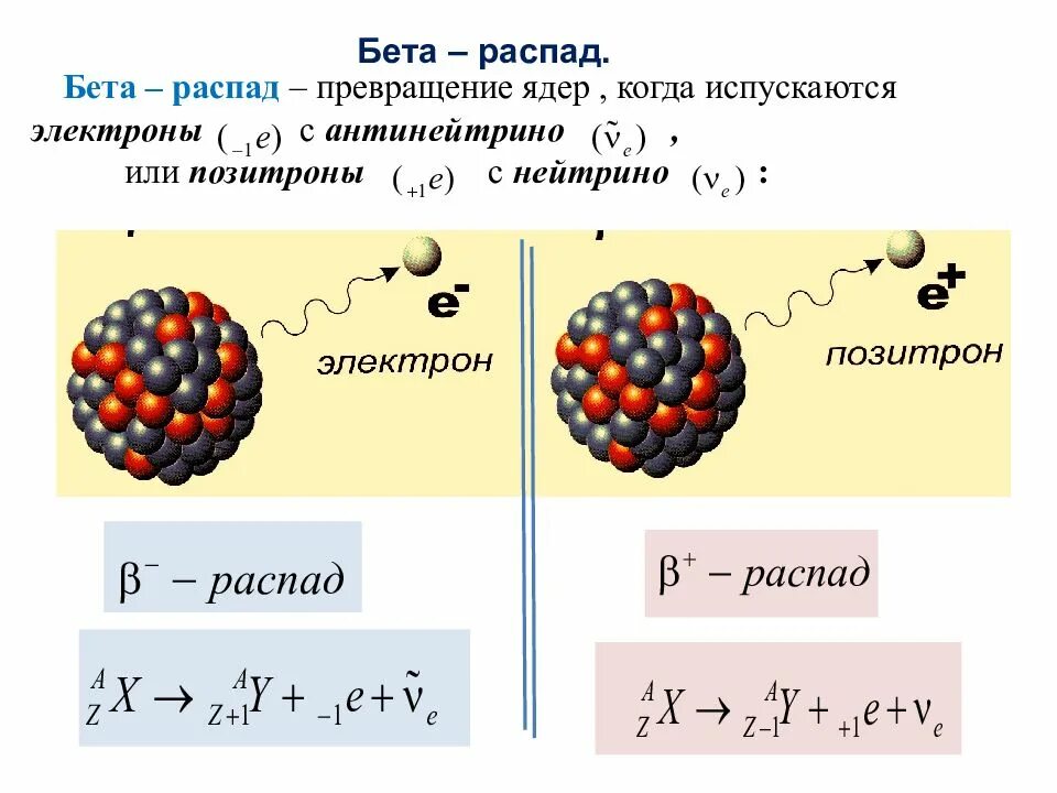 Какая частица испускается в результате. Пример реакции бета распада. Схема бета распада ядра электронный. Положительный бета распад формула. Реакция b распада.